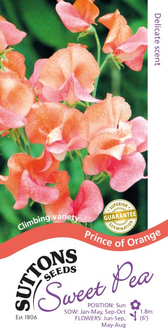 SUTTONS Suttons Prince Of Orange Sweet Pea Seeds