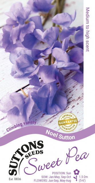 SUTTONS Suttons Noel Sweet Pea Seeds