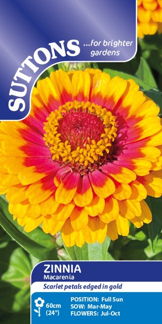 SUTTONS Suttons Macareni Zinnia Seeds