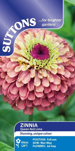 SUTTONS Suttons Queen Red Lime Zinnia Seeds