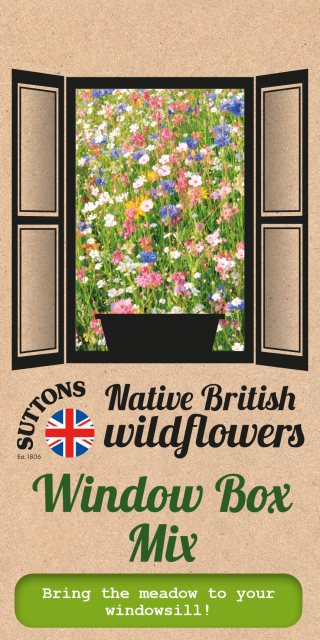 SUTTONS Suttons British Wildflower Window Box Mix