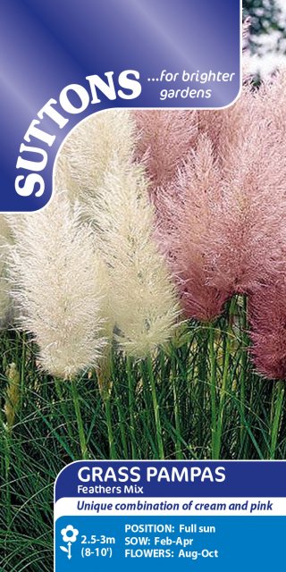 SUTTONS Suttons Pampas Grass Feathers Mix