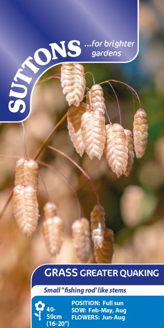 SUTTONS Suttons Greater Quaking Grass Seeds