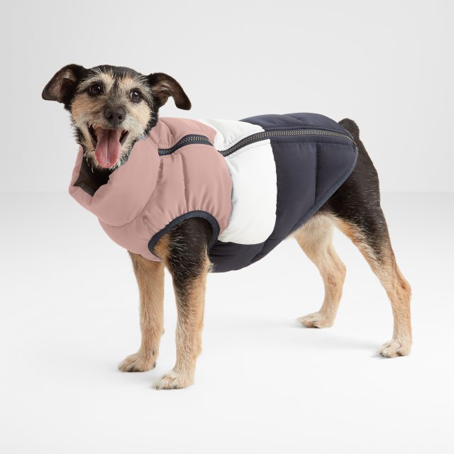 Tog24 Tog24 Fetch Padded & Reversible Dog Coat Pink/Blue