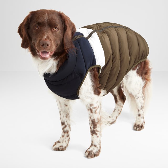 Tog24 Tog24 Fetch Padded & Reversible Dog Coat Blue/Khaki