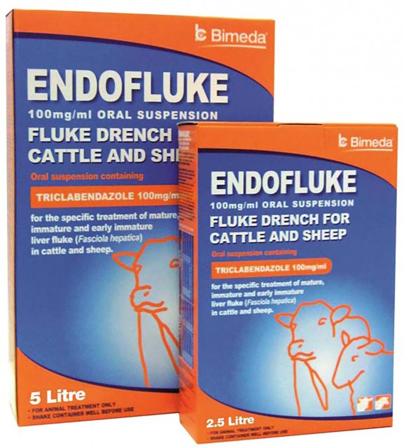 Bimeda Endofluke 10%