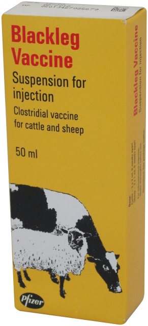 ZOETIS Blackleg Vaccine 50ml