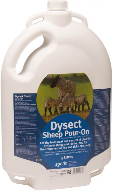 ZOETIS Sheep Dysect 5L