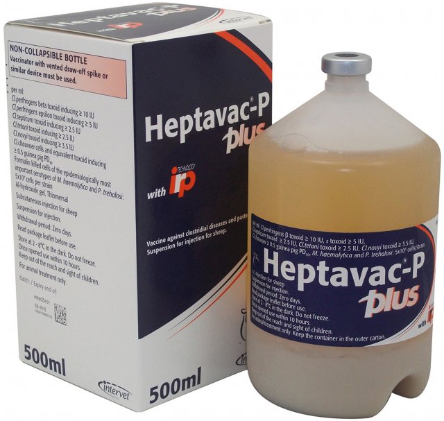 MSD Heptavac P Plus - Vaccines & Injections