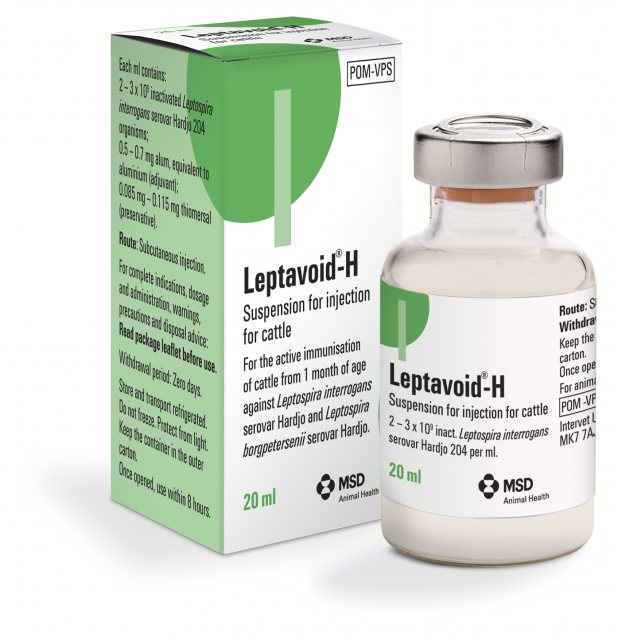 Leptavoid H - Vaccines & Injections - Mole Avon