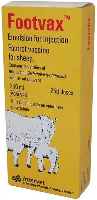 MSD Animal Health Footvax - Vaccines & Injections - Mole Avon