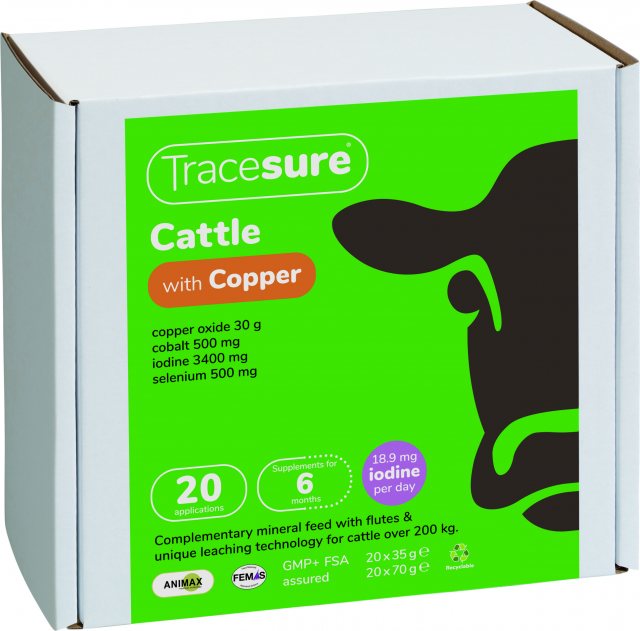 Tracesure Copper Cattle 20 Pack