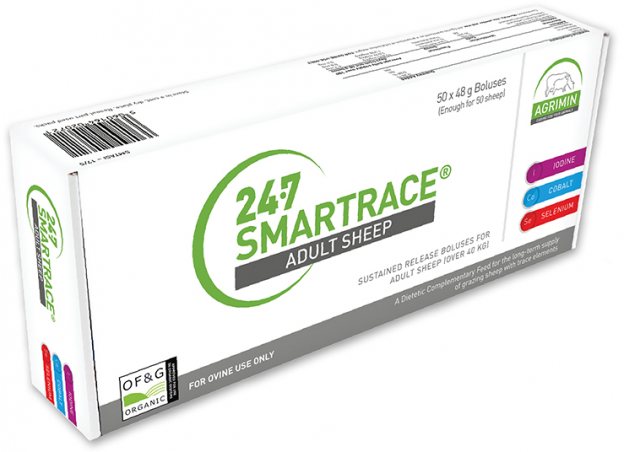 24/7 Smartrace Adult Sheep 50 Pack