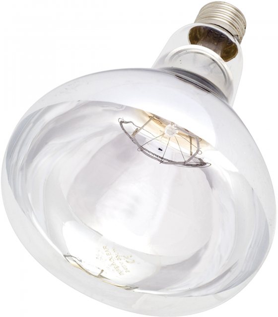 Nettex Clear Infra Red Bulb