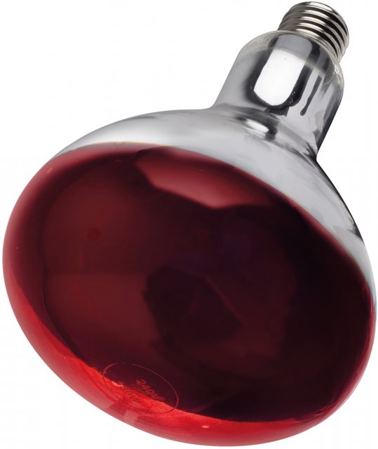 Nettex Infra Red Bulb 250w