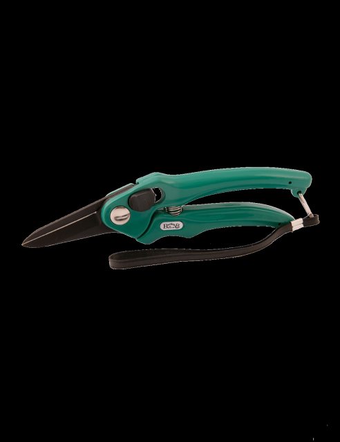 B&B Super Sharp Foot Rot Shears