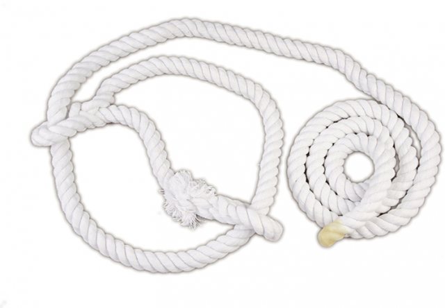 Cotton Cattle Show Halter 16mm