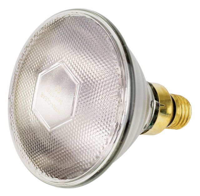 Infra Red Bulb 100w Par 38