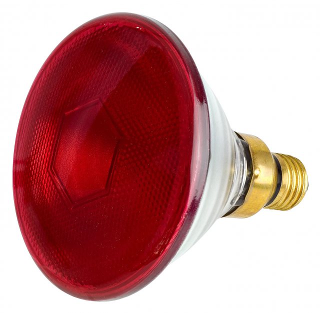Infra Red Bulb 150w Par 38