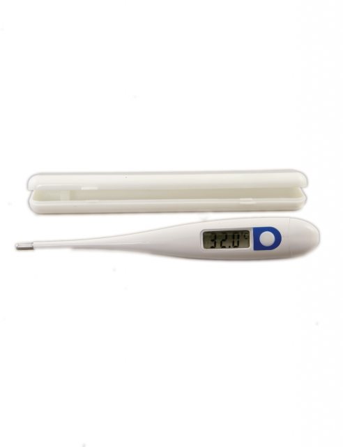 Thermometer Digital