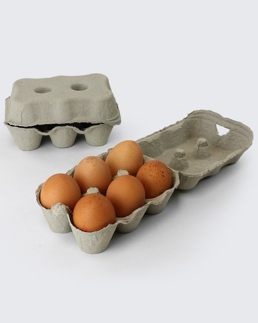 Egg Carton Single