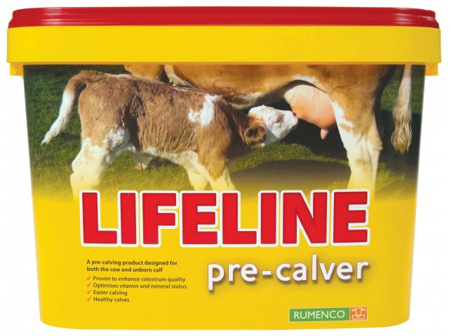 Lifeline Pre Calver Bucket
