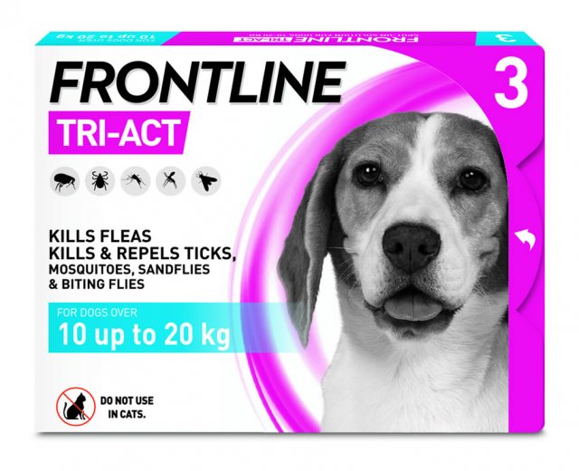 Ass salaris genade Frontline Tri Act Large Dog 3 Pipettes - Flea, Tick & Worm Treatments -  Mole Avon