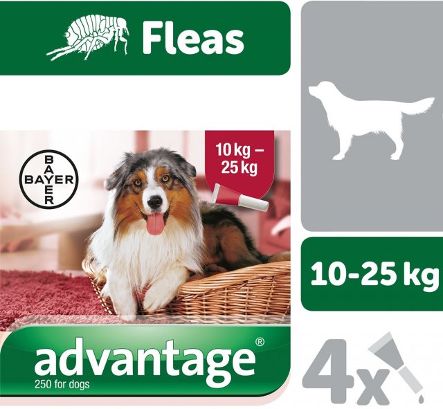 Bayer Spot On Advantage 10-25kg