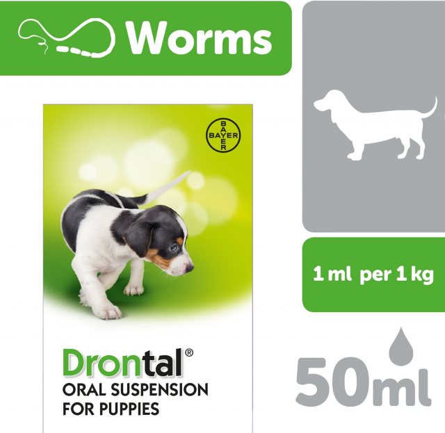 Bayer Drontal Puppy 50ml