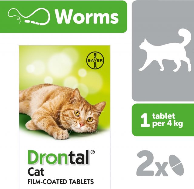 BAYER Drontal Cat Ellipsoid Tablets 2 Pack