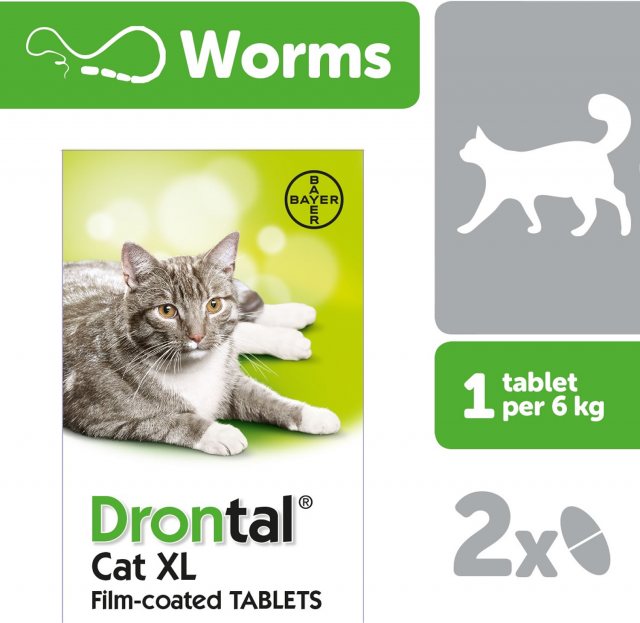 BAYER Drontal Cat Ellipsoid Extra Large Tablets 2 Pack