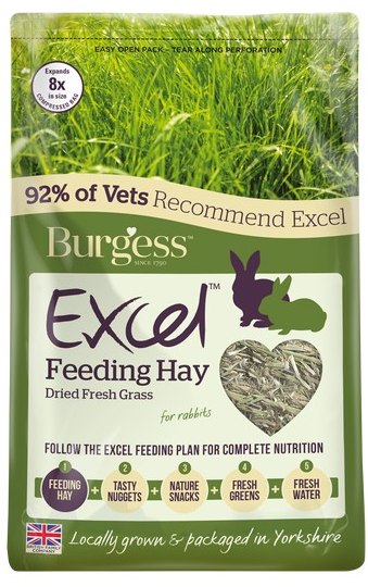 Burgess Excel Forage Hay & Grass 1kg