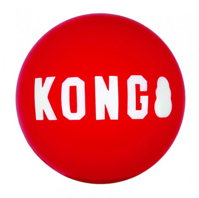 Kong Signature Balls 2 Pack