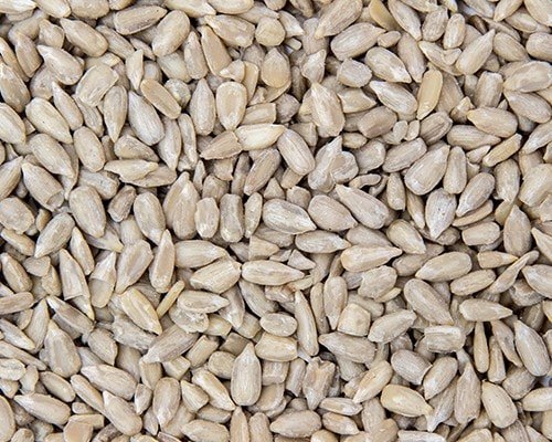 J&J Mole Avon Sunflower Hearts 20kg