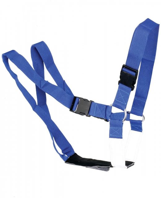 Agrihealth Super Blue Ram Harness