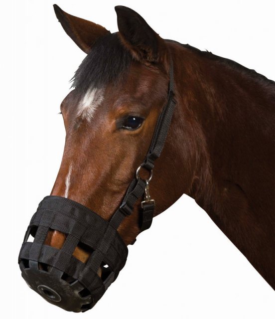 Roma Grazing Muzzle Black