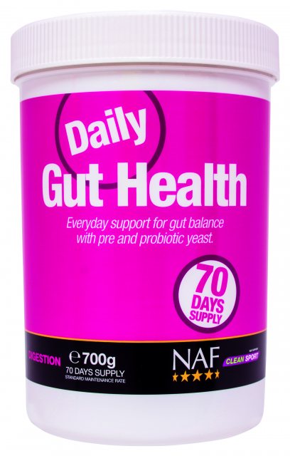 Daily Gut Health 700g