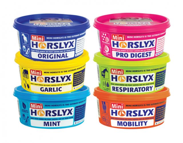 Horslyx Horslyx 650g