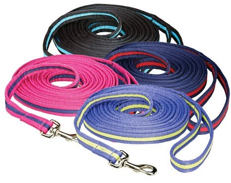 HY Equestrian Hy Soft Webbing Lunge Rein 25'