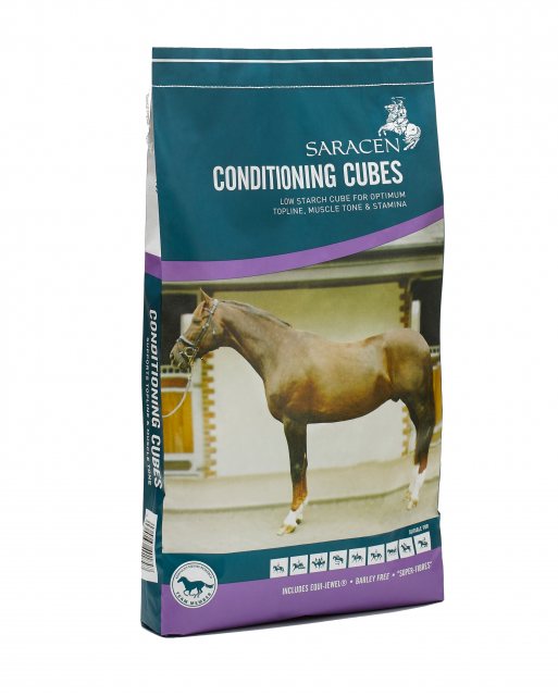 SARACEN Saracen Conditioning Cubes 20kg