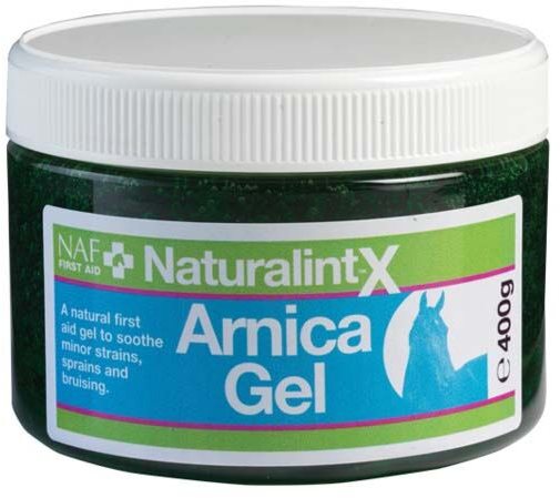 Naturalintx Arnica Gel 400g