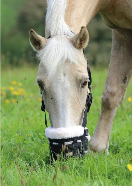 Shires Deluxe Nylon Grazing Muzzle