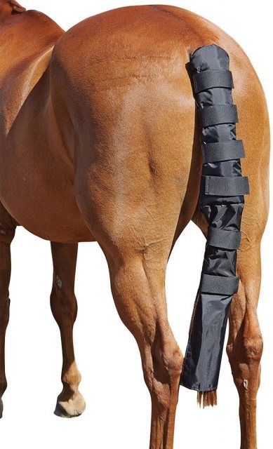 Roma Padded Tail Wrap With Bag Cob