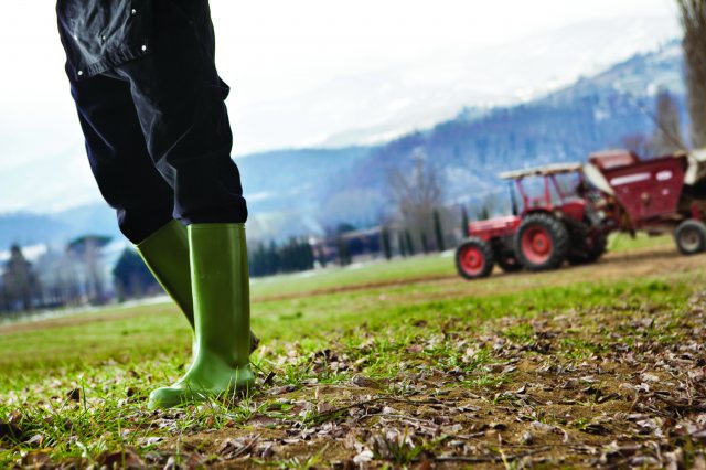 Farmers wellington boots clearance uk