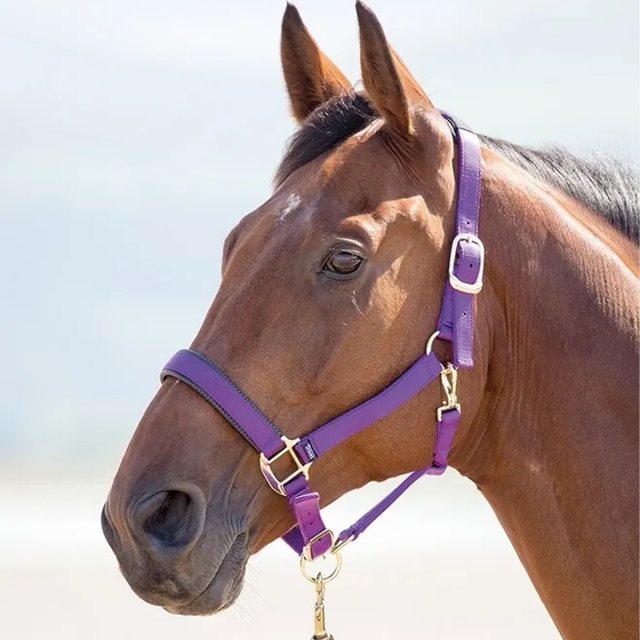 Shires Topaz Nylon Headcollar Purple