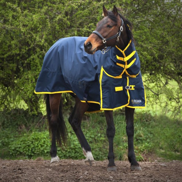 Gallop Equestrian Gallop Trojan 200 Combo Turnout Rug Navy & Yellow