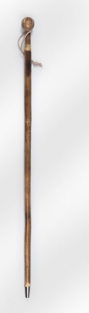 Stormafit Compass Walking Stick Chestnut