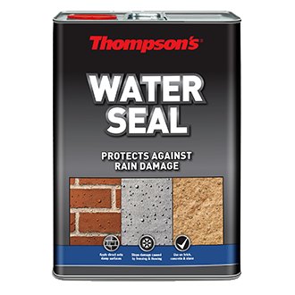 Thompson's Thompson Water Seal 5L