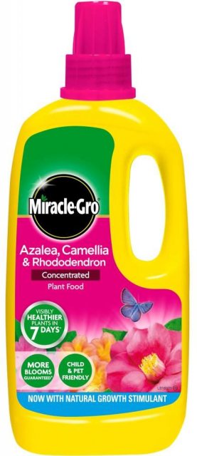 MIRACLE Miracle Gro Azalea Concentrated Plant Food