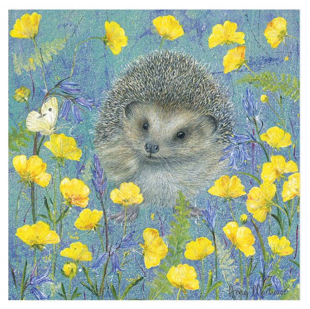 Enchanted Wildlife Card Hedgehog
